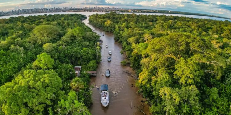 Floresta - Foto - Ricardo Stuckert - PR