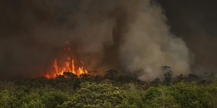 Foto: Marcelo Camargo / Agência Brasil