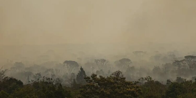 Foto: Marcelo Camargo / Agência Brasil