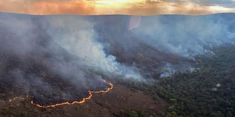 Foto: CBMGO / Divulgação