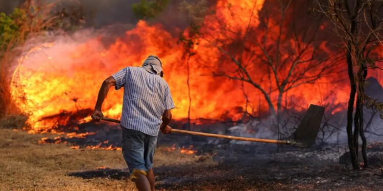 Foto: Fabio Rodrigues-Pozzebom / Agência Brasil