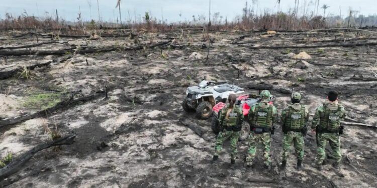 Foto: Polícia Federal / Divulgação