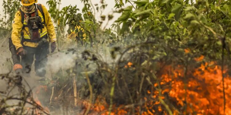 Foto: Marcelo Camargo / Agência Brasil