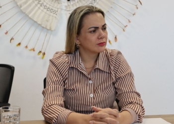 Cláudia de Jesus propõe criação do Dia do Serventuário da Justiça Estadual