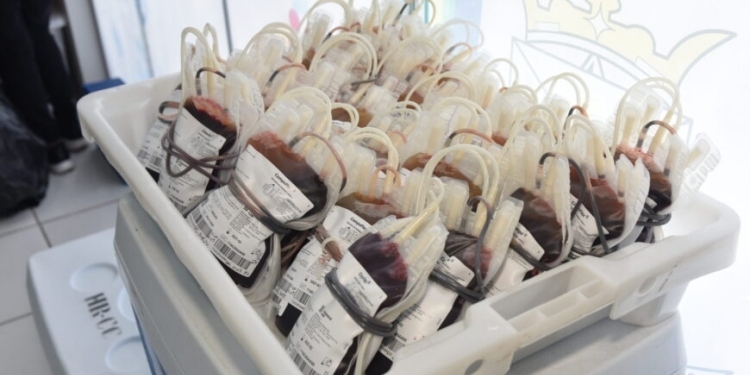 Solidariedade em Porto Velho e Alta Floresta mobiliza mais de 240 doações de sangue
