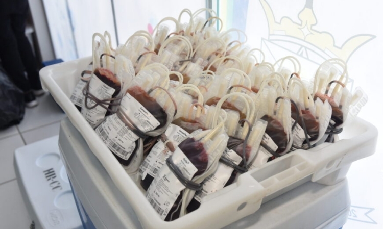 Solidariedade em Porto Velho e Alta Floresta mobiliza mais de 240 doações de sangue