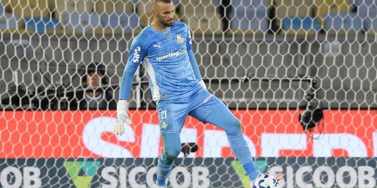 Palmeiras-Foto-Cesar-Greco-Palmeiras