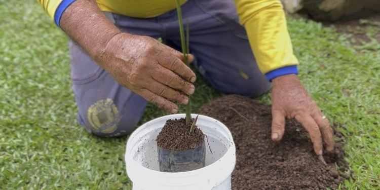 Gelateria e Prefeitura de Porto Velho transformam baldes de sorvete em ferramenta ambiental