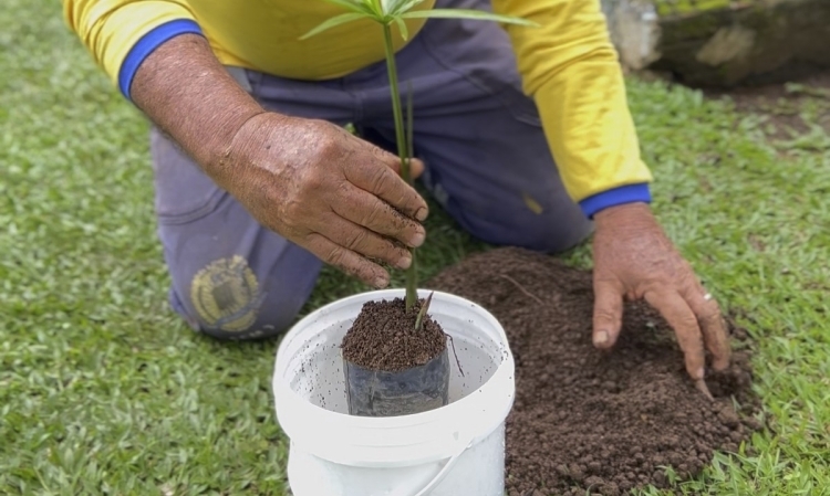 Gelateria e Prefeitura de Porto Velho transformam baldes de sorvete em ferramenta ambiental