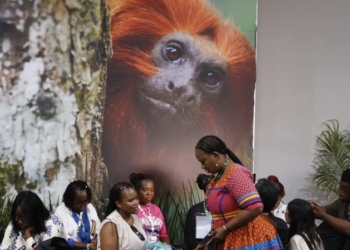 COP30-2-Foto-Tânia-Rêgo-Agência-Brasil