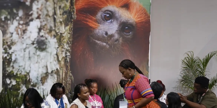 COP30-2-Foto-Tânia-Rêgo-Agência-Brasil