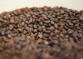 Café-Foto-Marcello-Casal-Jr-Agência-Brasil