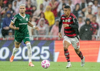 FlamengoXPalmeiras-2-Foto-Gilvan-de-Souza-Flamengo