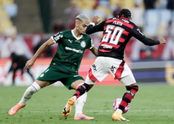 Palmeiras-x-Flamengo-1-Foto-Gilvan-de-Souza-Flamengo