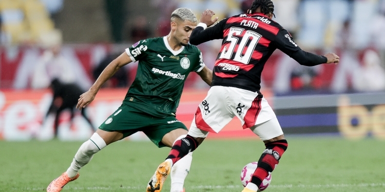 Palmeiras-x-Flamengo-1-Foto-Gilvan-de-Souza-Flamengo
