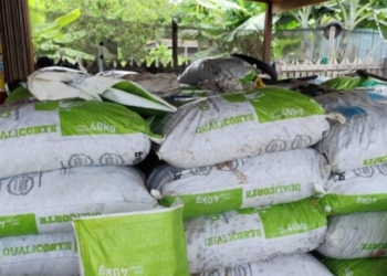 Foto: Arquivo Sedam / Secom / Governo de Rondônia