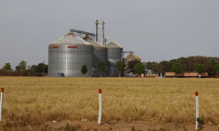 Foto: Fernando Frazão / Agência Brasil